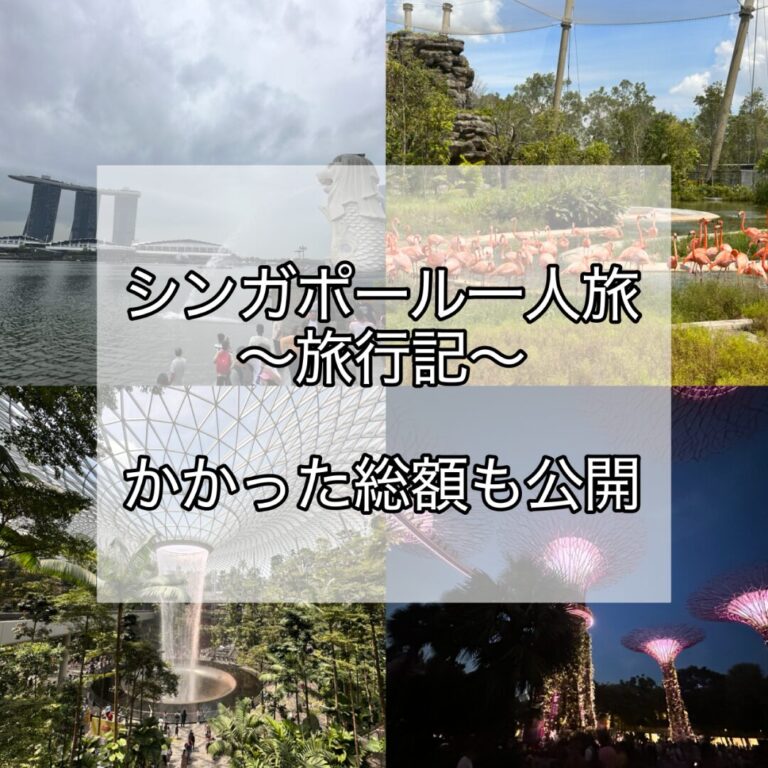 旅行記: 初めての海外一人旅でシンガポール...